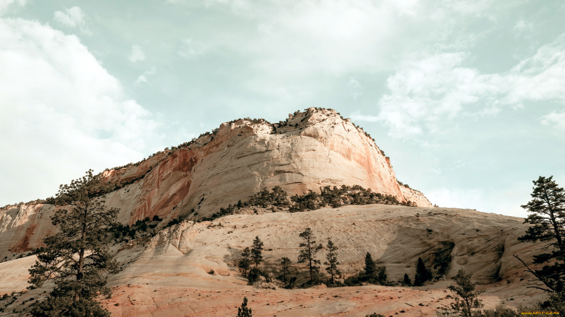 природа, горы, сосны, гора