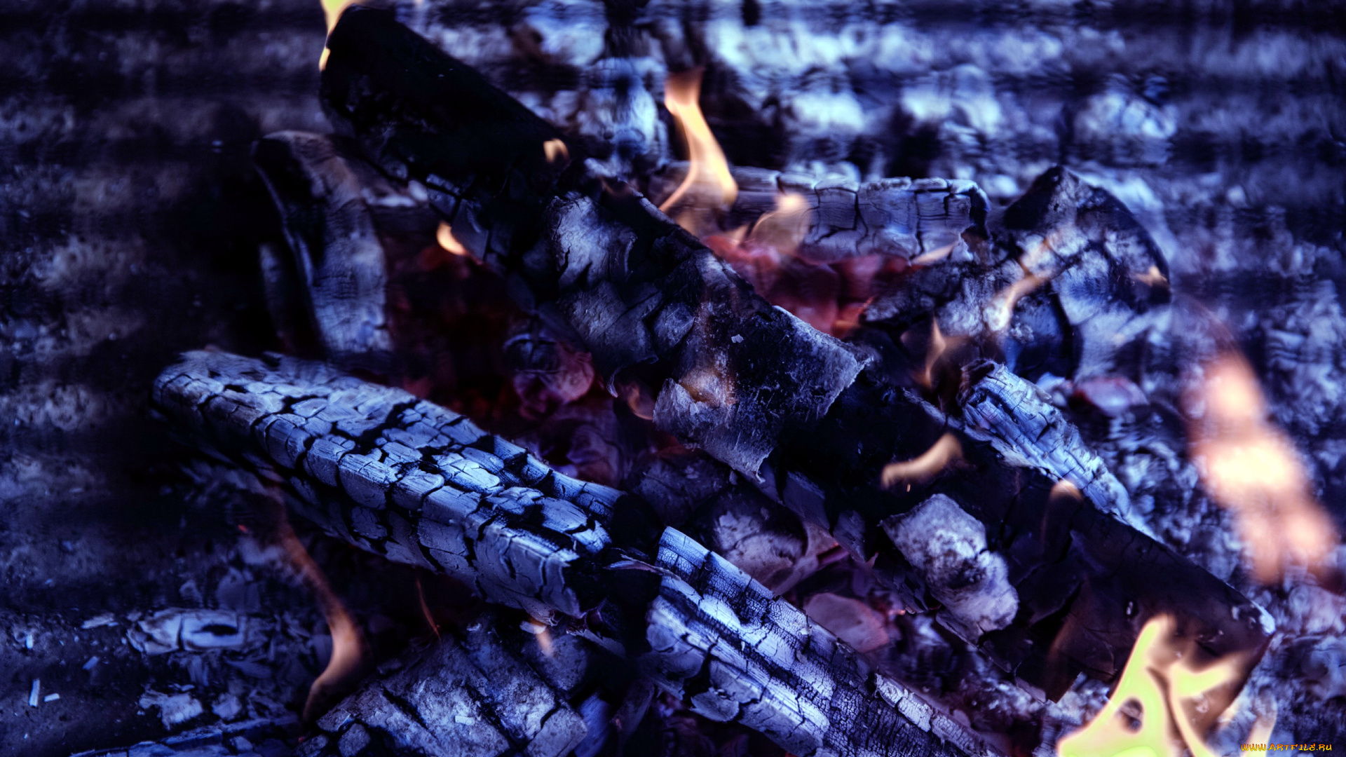 природа, огонь, угли, пламя