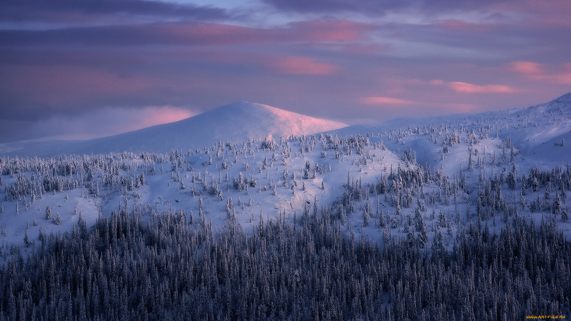 природа, пейзажи, лес, холмы, снег