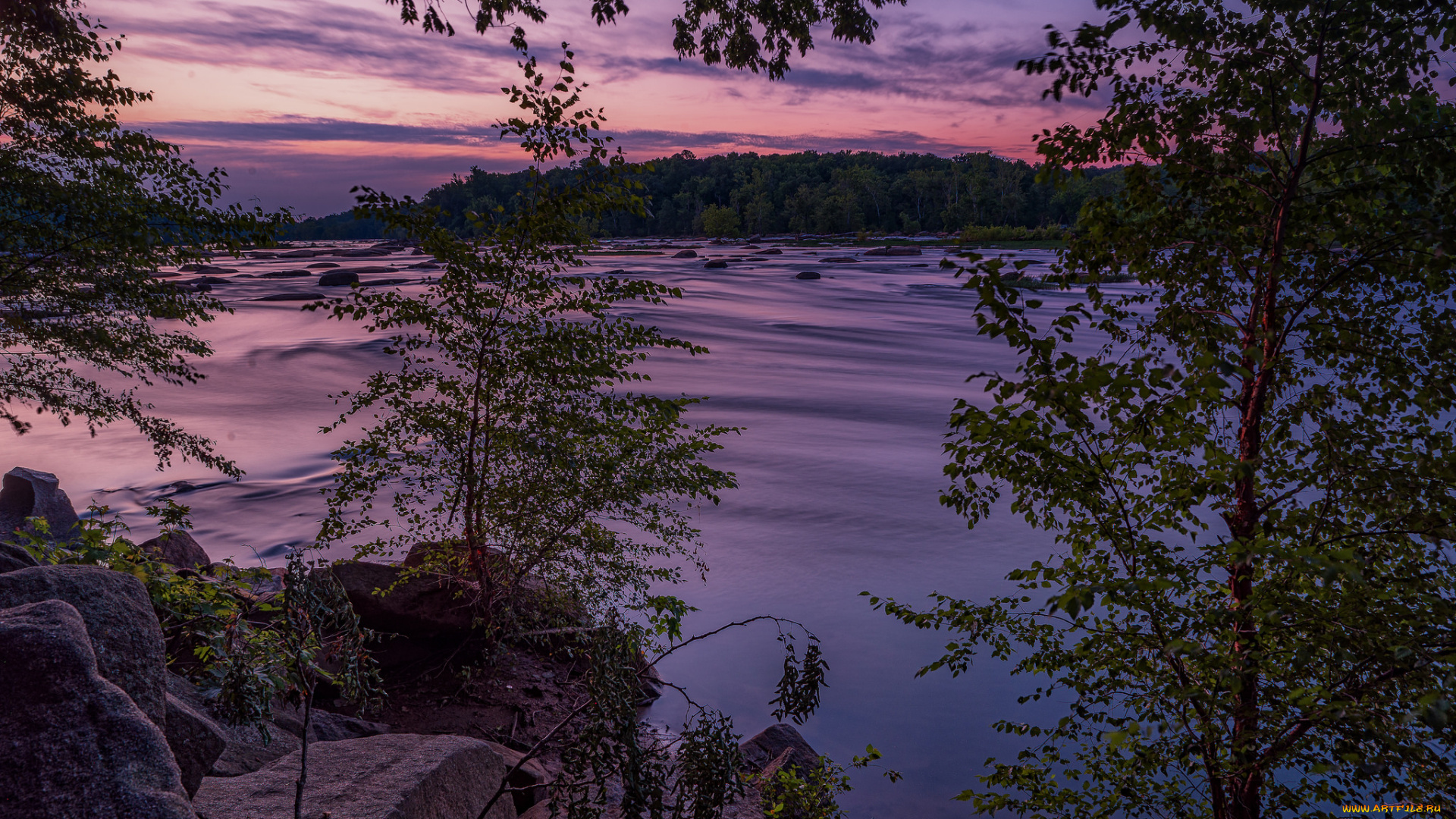 природа, реки, озера, лес, река