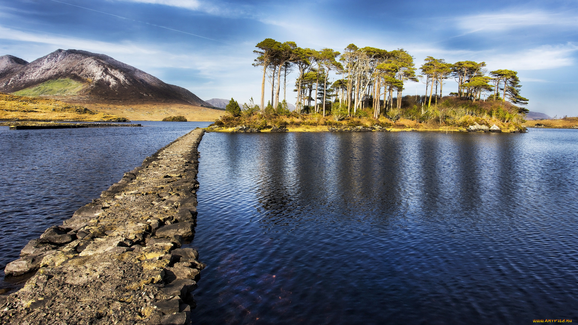 природа, реки, озера, лес, река