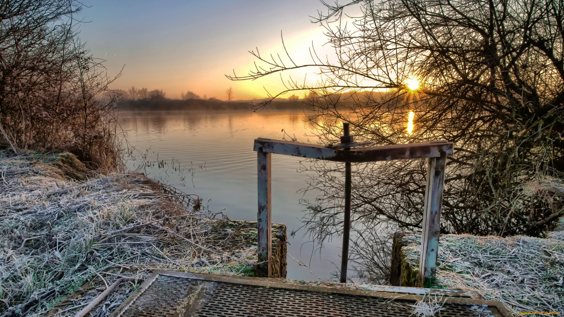 природа, реки, озера, река, лес