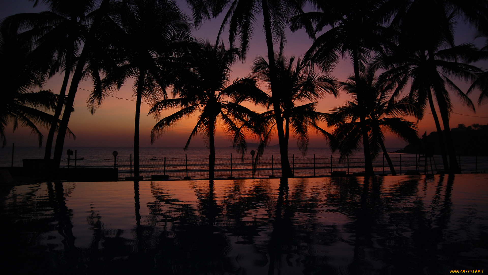 природа, тропики, курорт