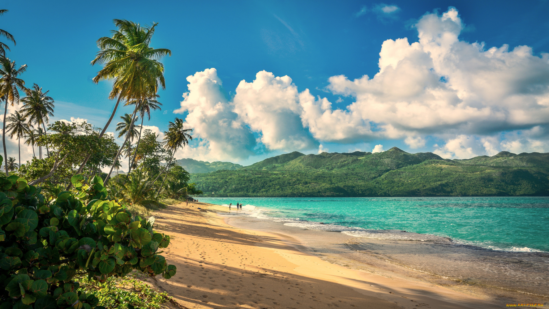 природа, тропики, курорт