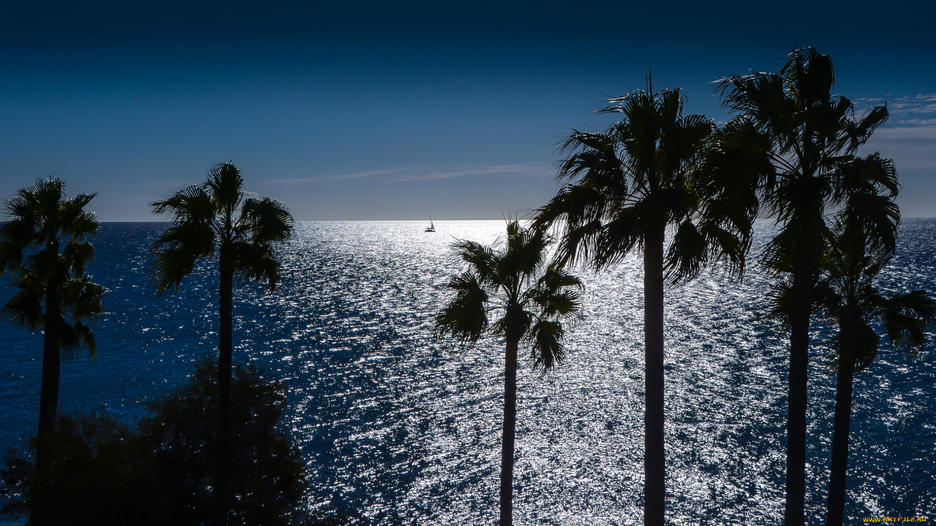 природа, тропики, курорт