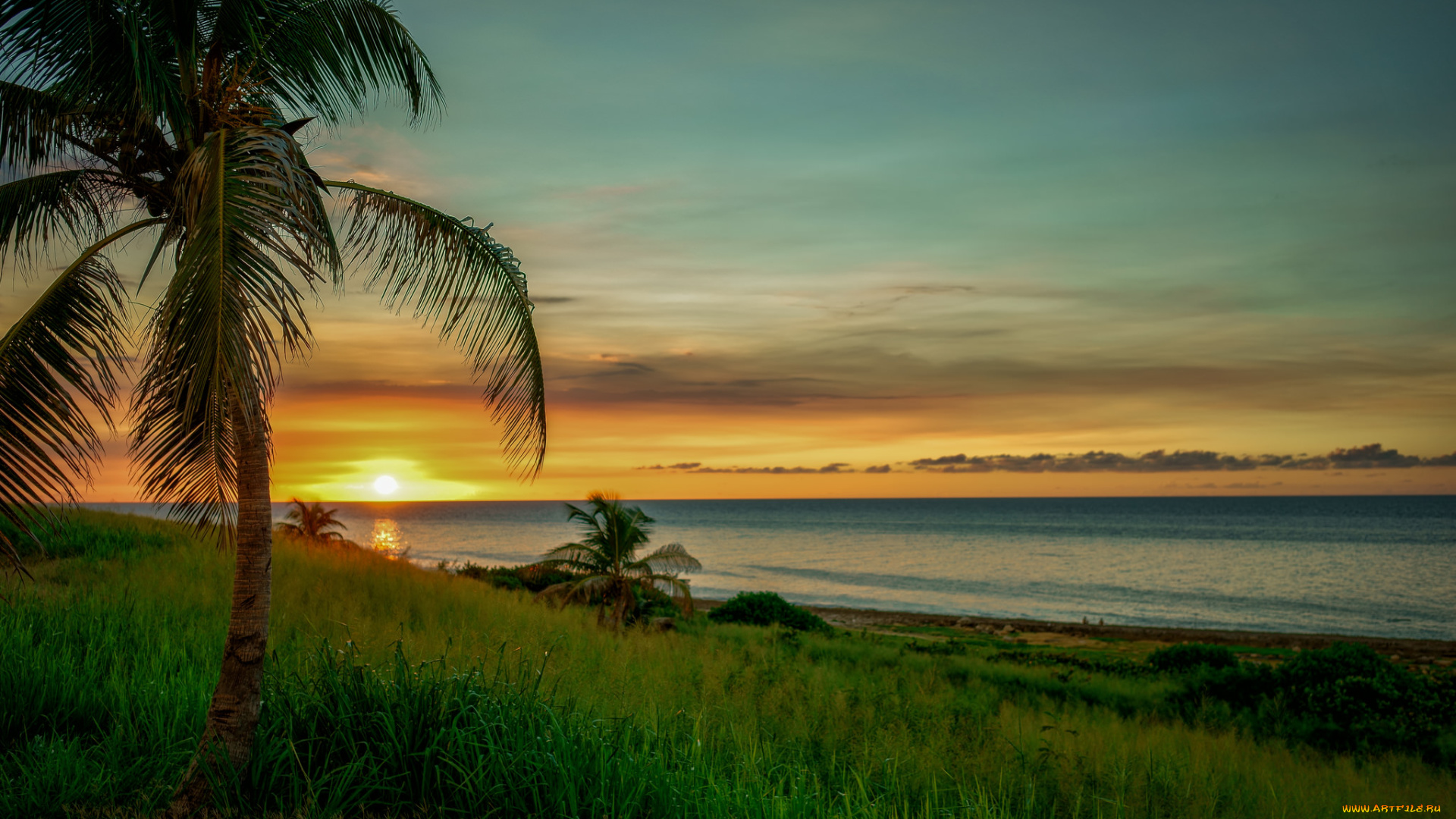 природа, тропики, курорт