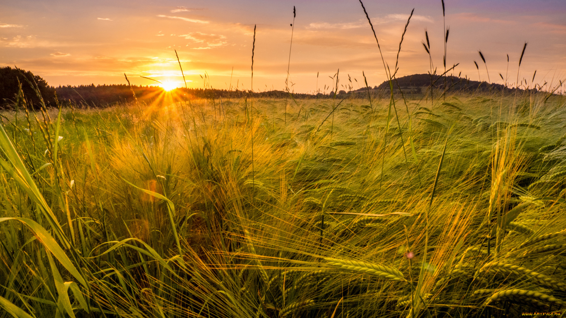 природа, восходы, закаты, рассвет
