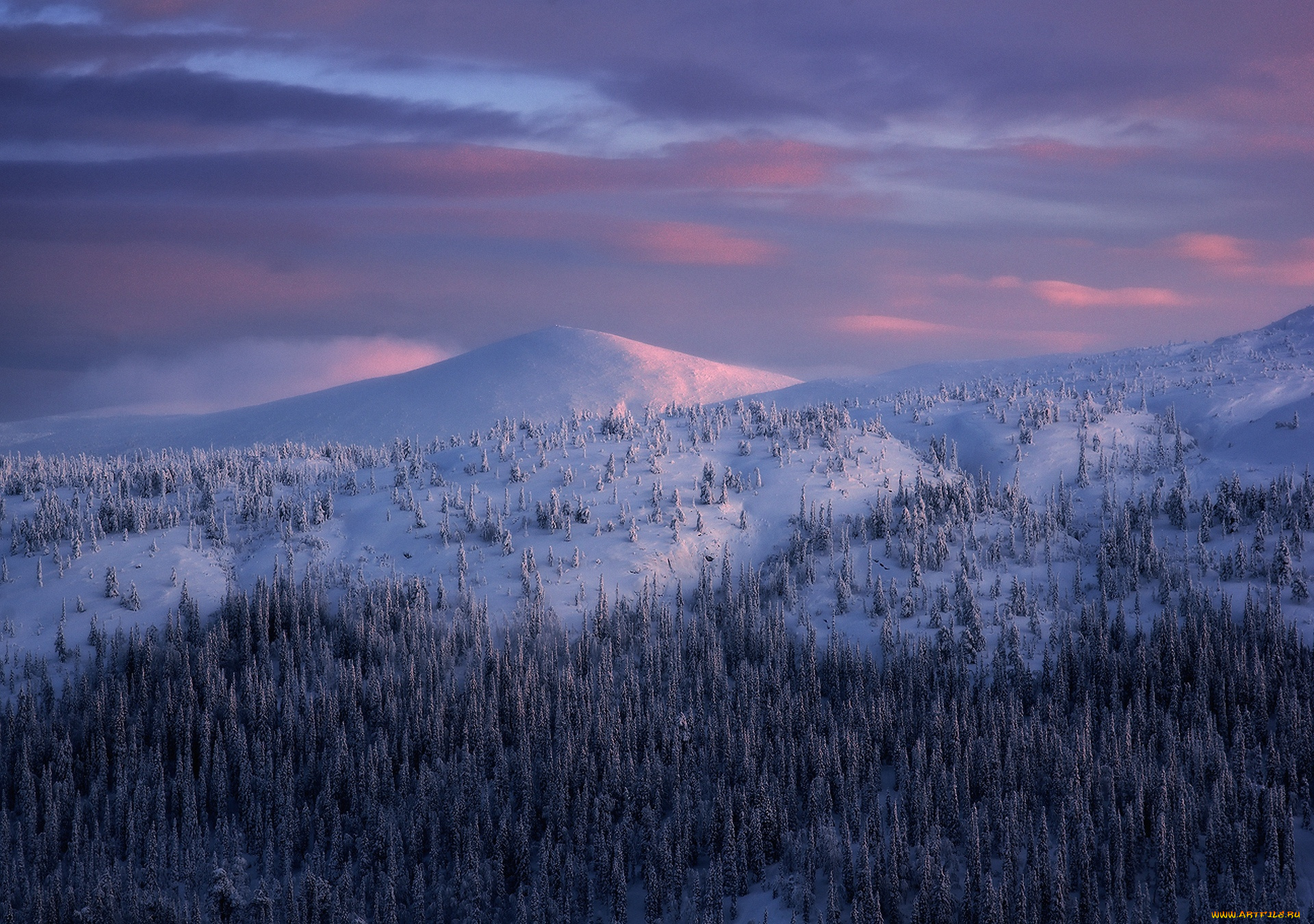 природа, пейзажи, лес, холмы, снег