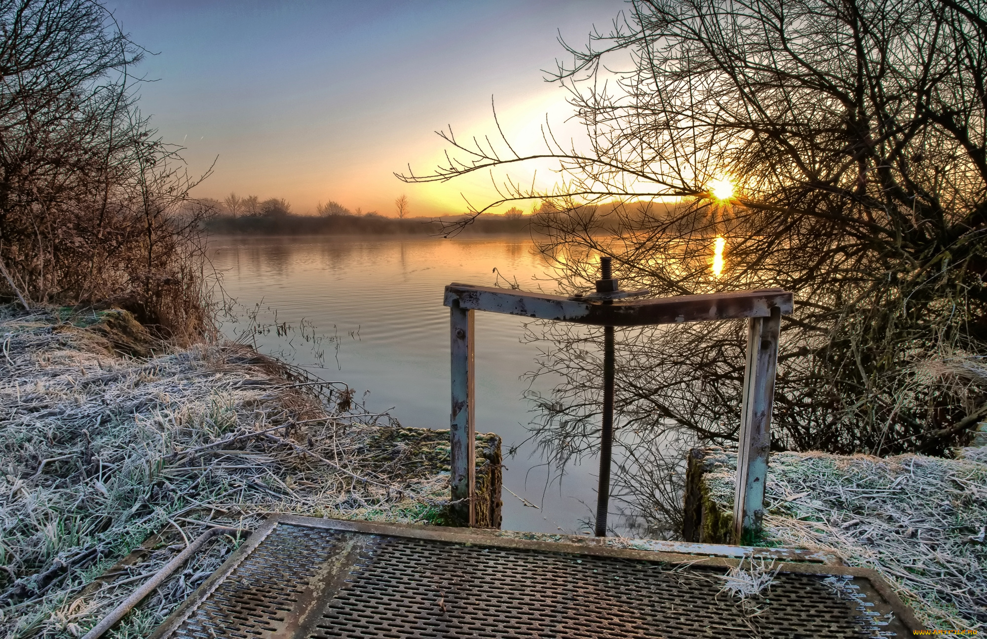 природа, реки, озера, река, лес