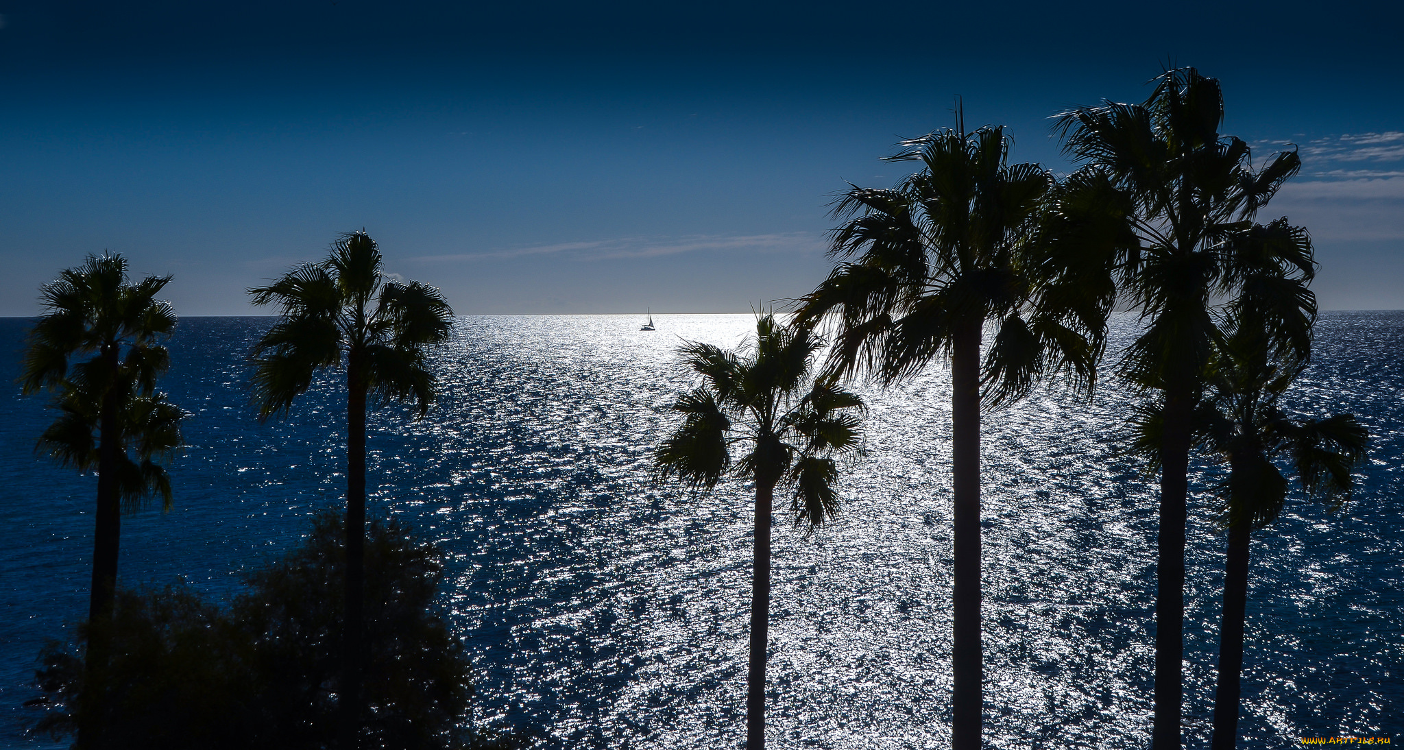 природа, тропики, курорт