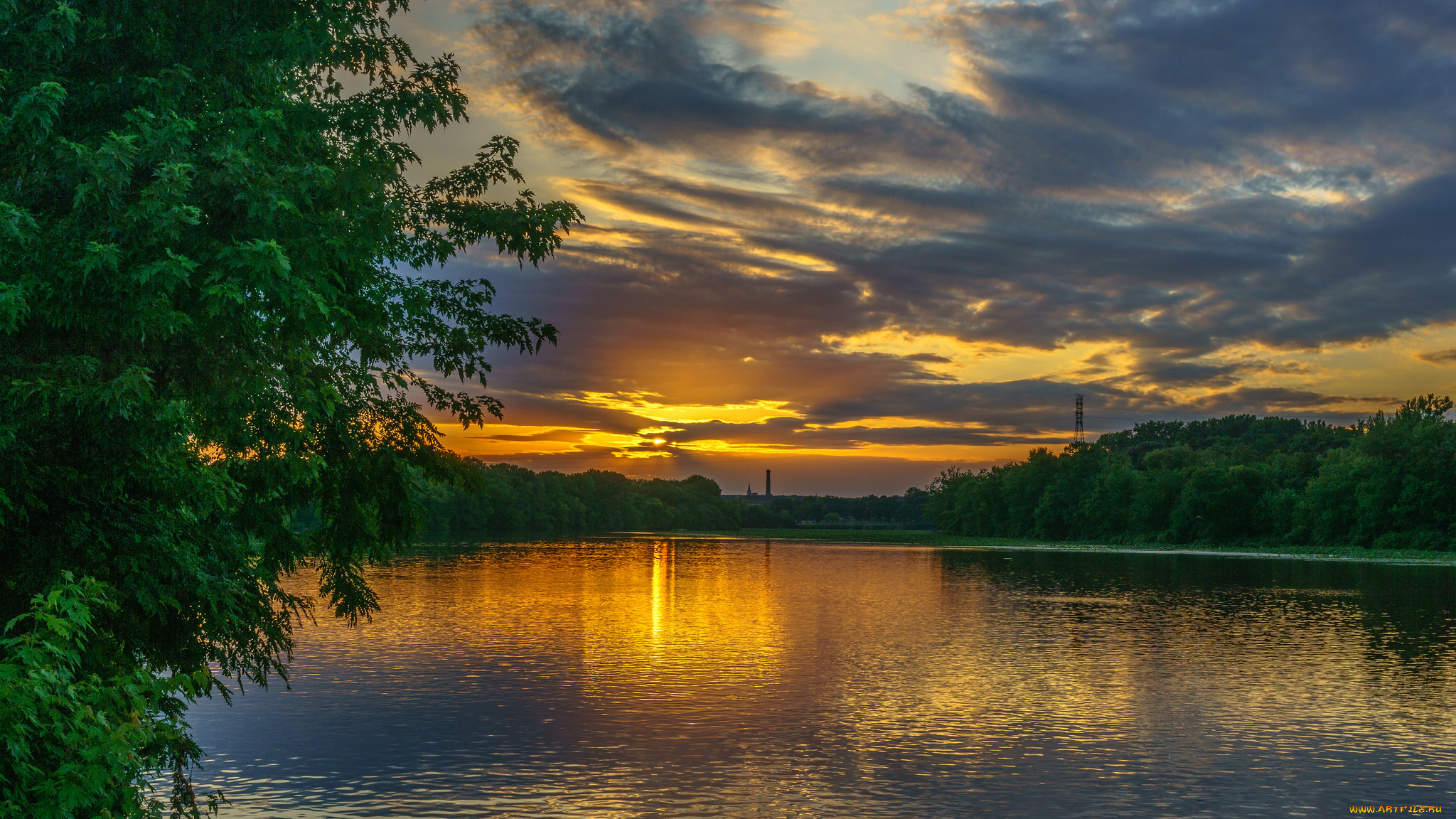 природа, реки, озера, река, лес