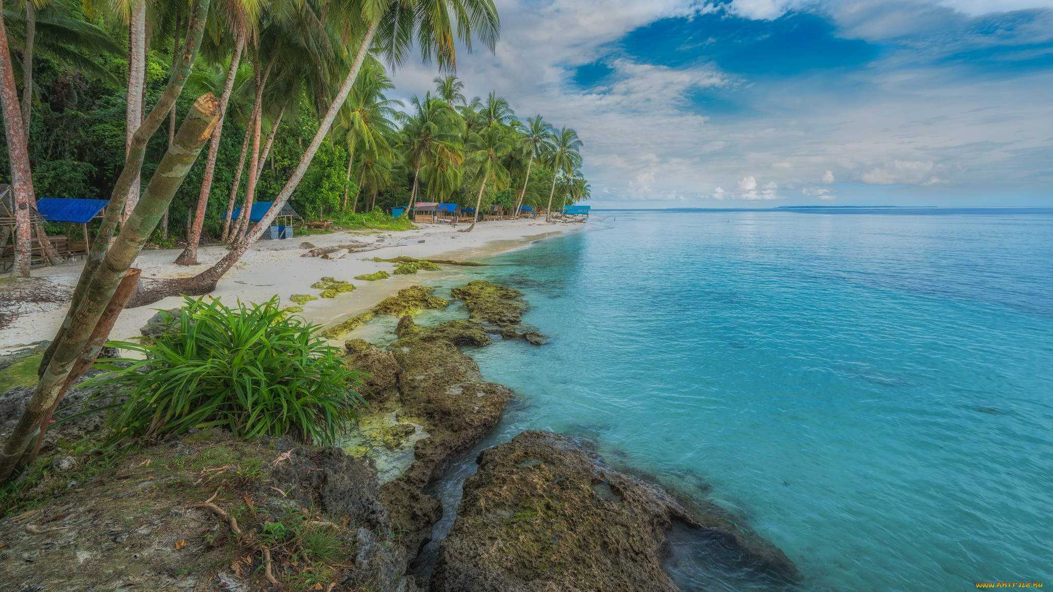 природа, тропики, курорт