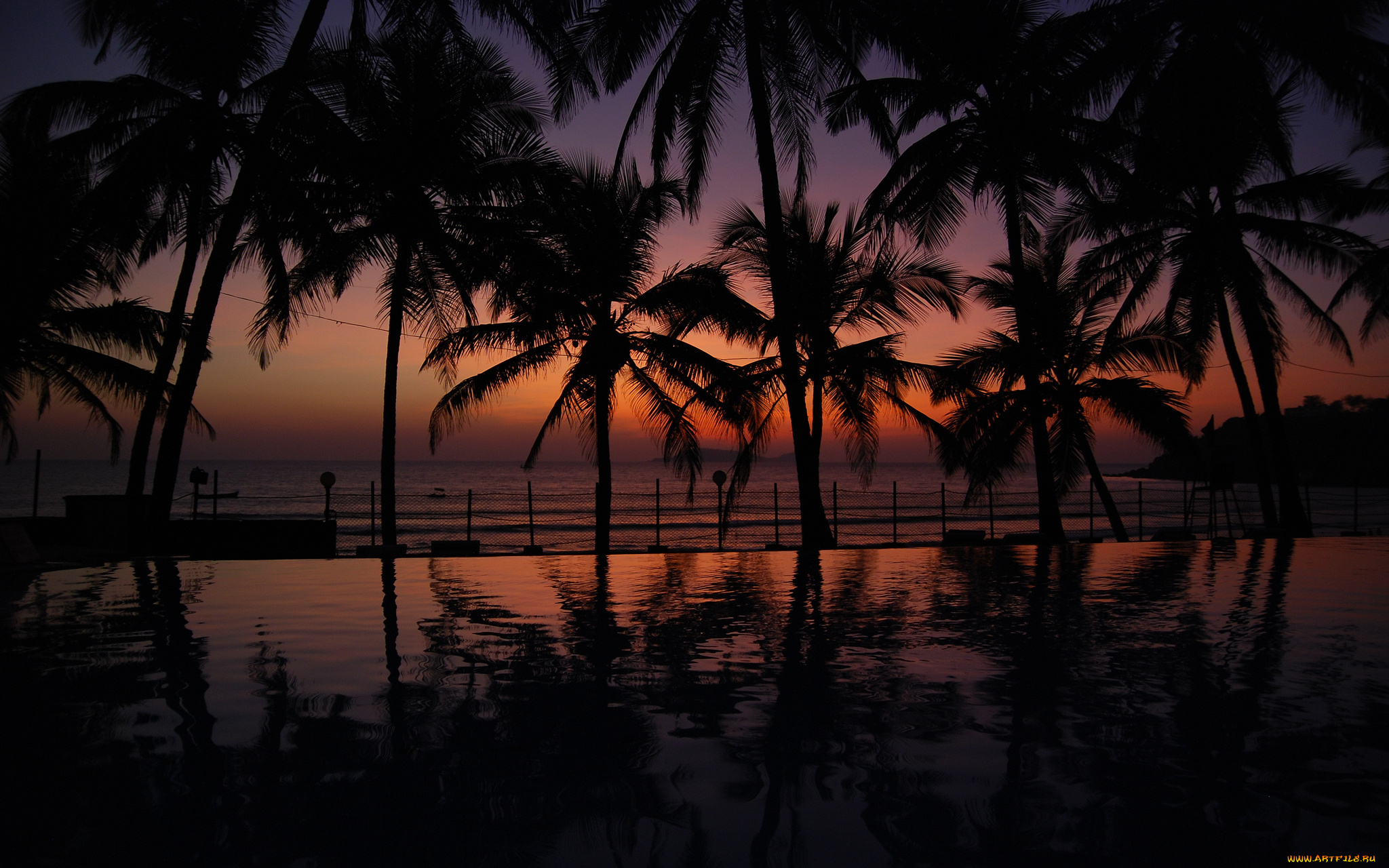 природа, тропики, курорт