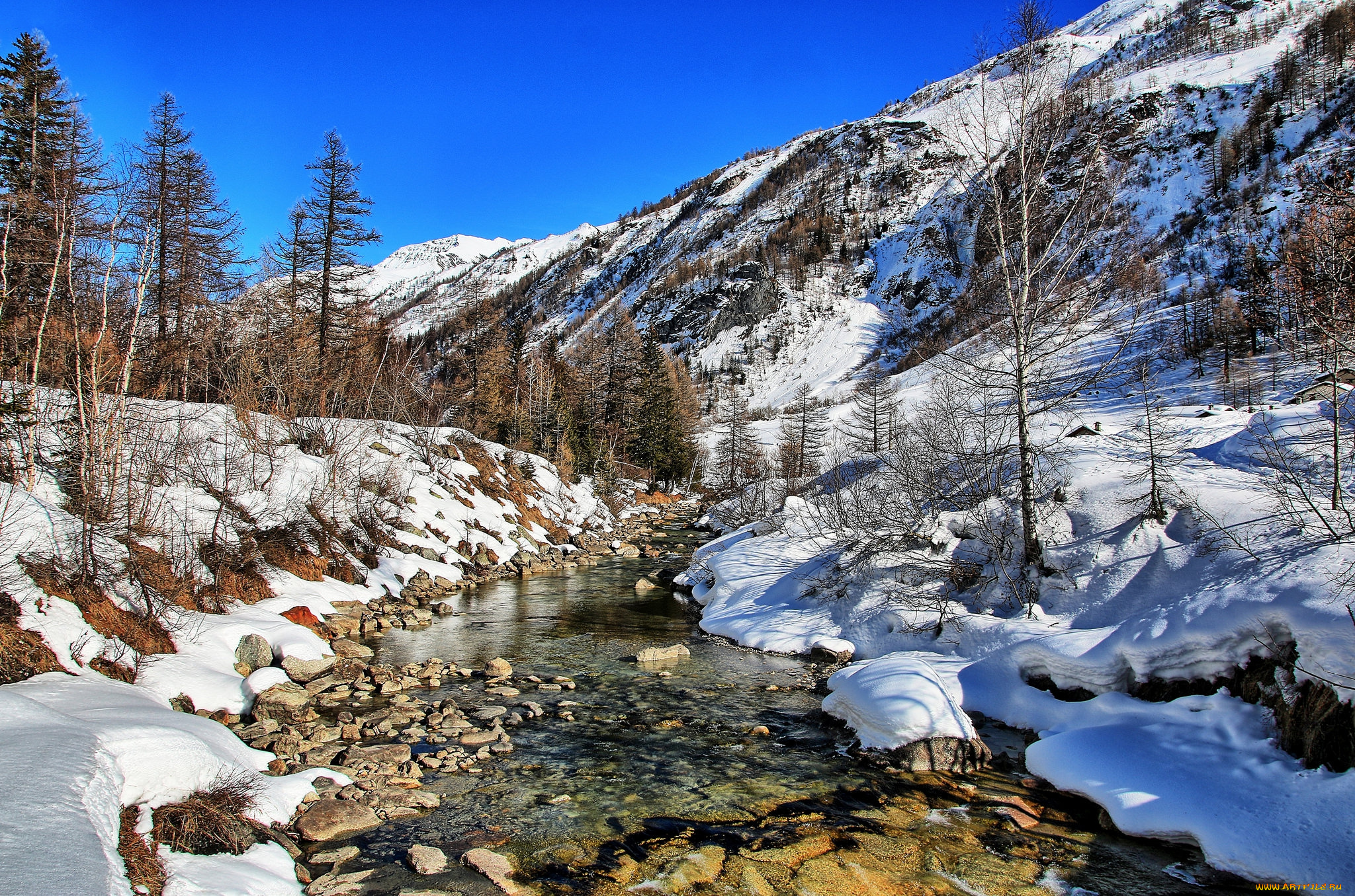 природа, реки, озера, лес, река