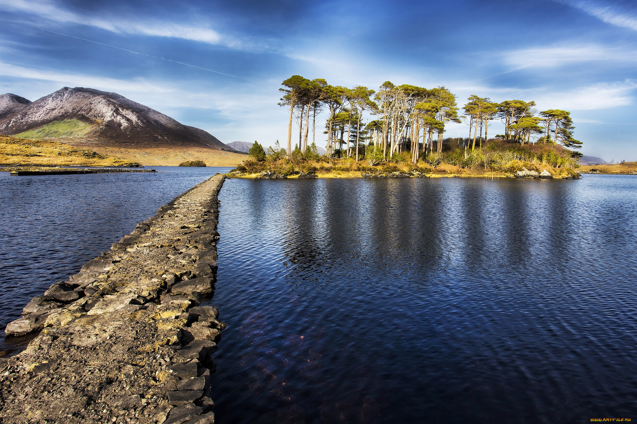 природа, реки, озера, лес, река