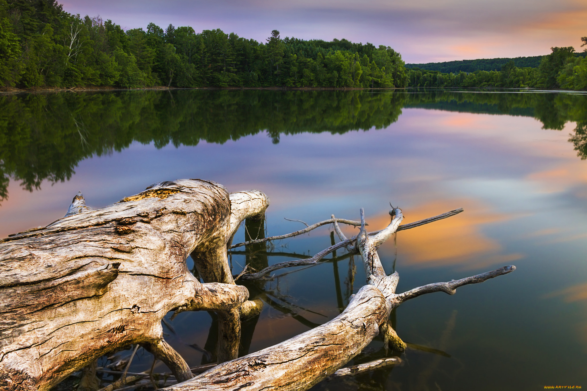 природа, реки, озера, река, лес