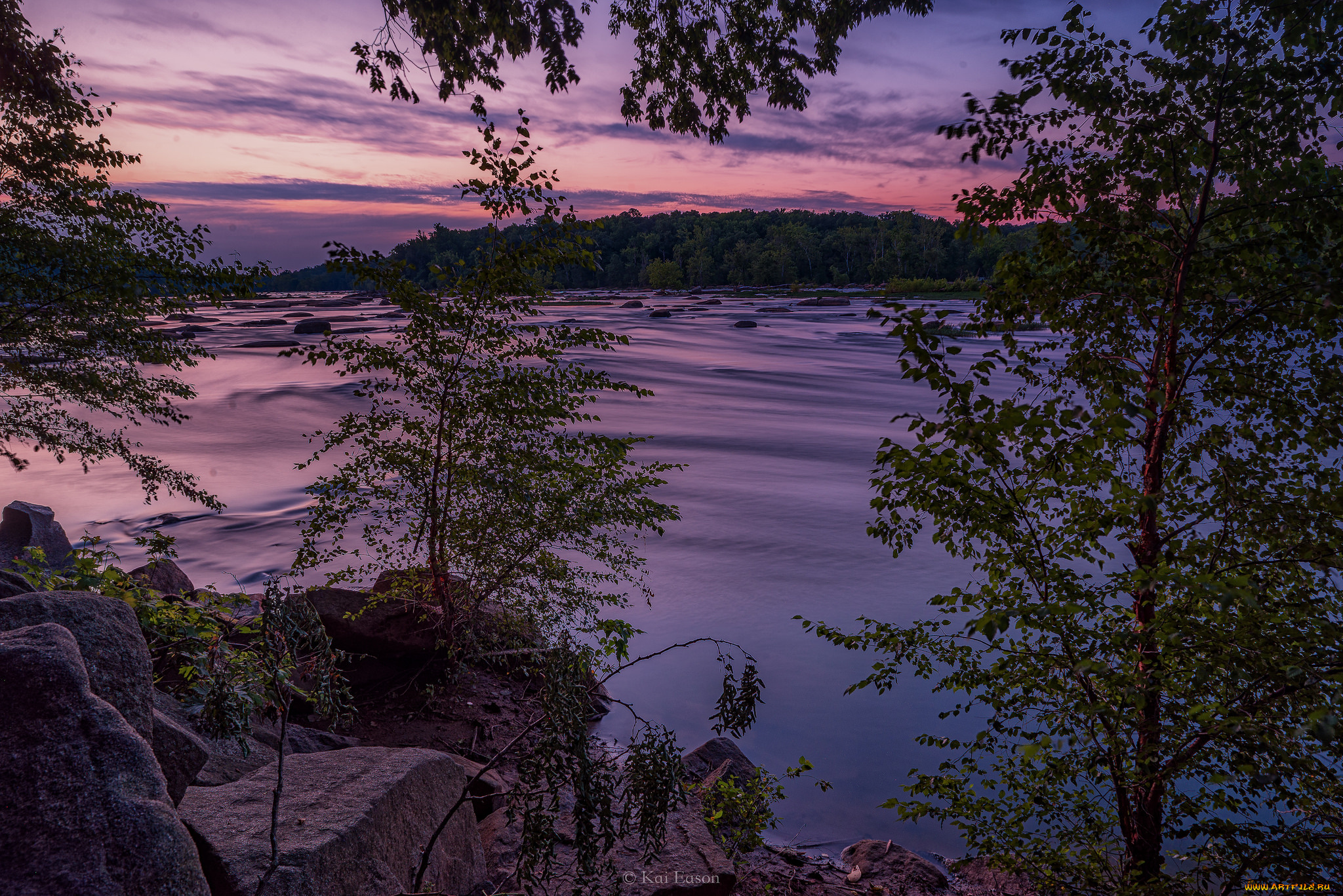 природа, реки, озера, лес, река