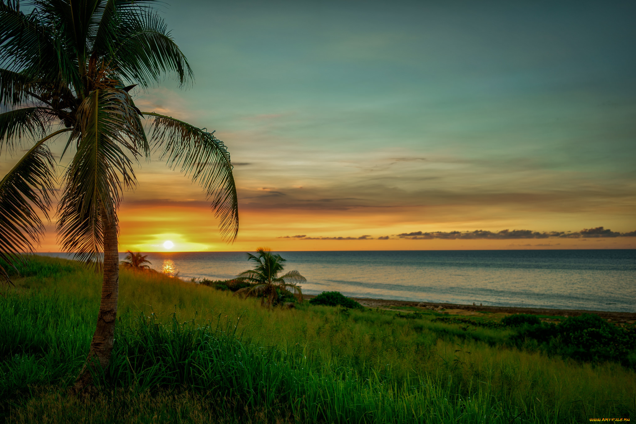 природа, тропики, курорт