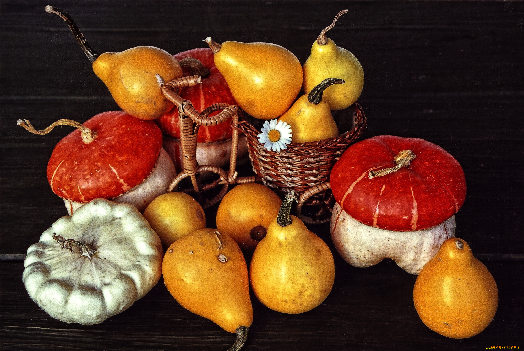 еда, фрукты, и, овощи, вместе, тыква, груши