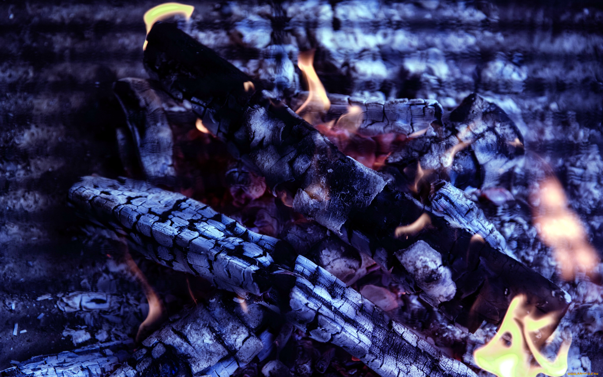 природа, огонь, угли, пламя