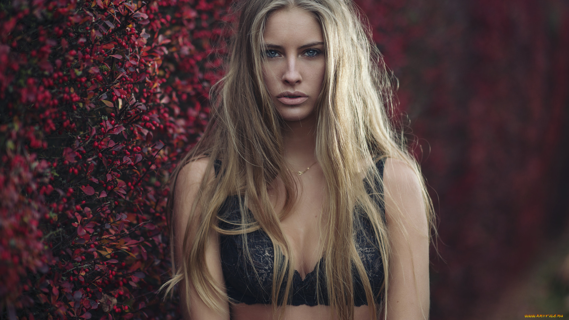 девушка, девушки, -unsort, , блондинки, , светловолосые, модель