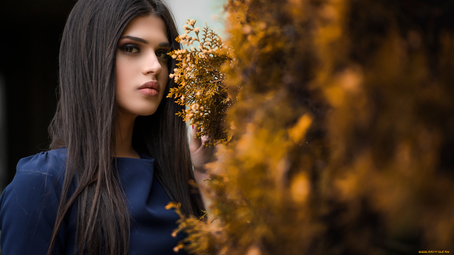 девушка, девушки, -unsort, , брюнетки, темноволосые, модель