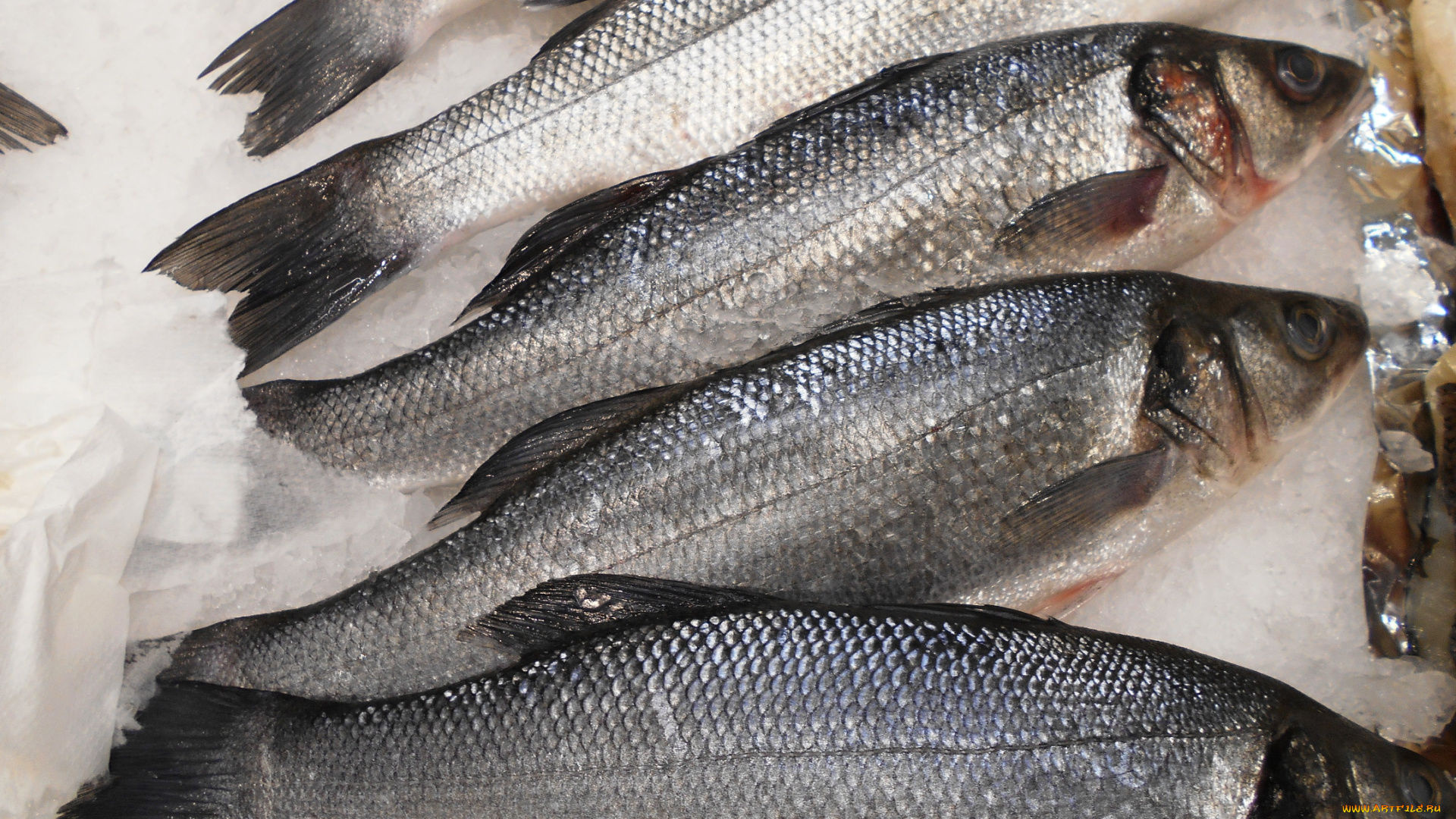 еда, рыба, , морепродукты, , суши, , роллы