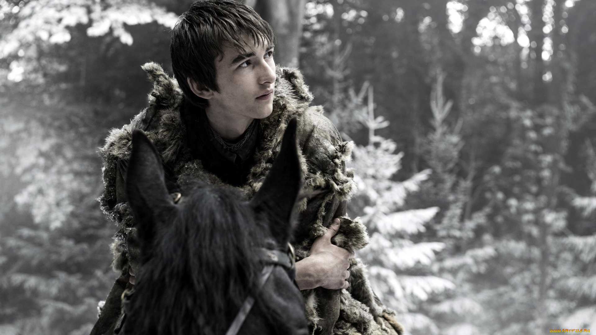 кино, фильмы, game, of, thrones, , сериал, stark, brandon