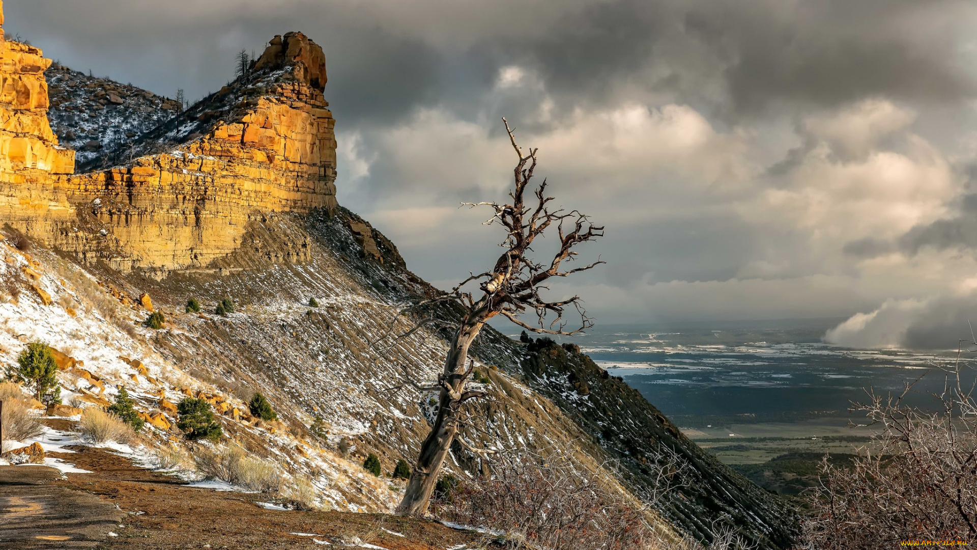 природа, горы, гора, дерево