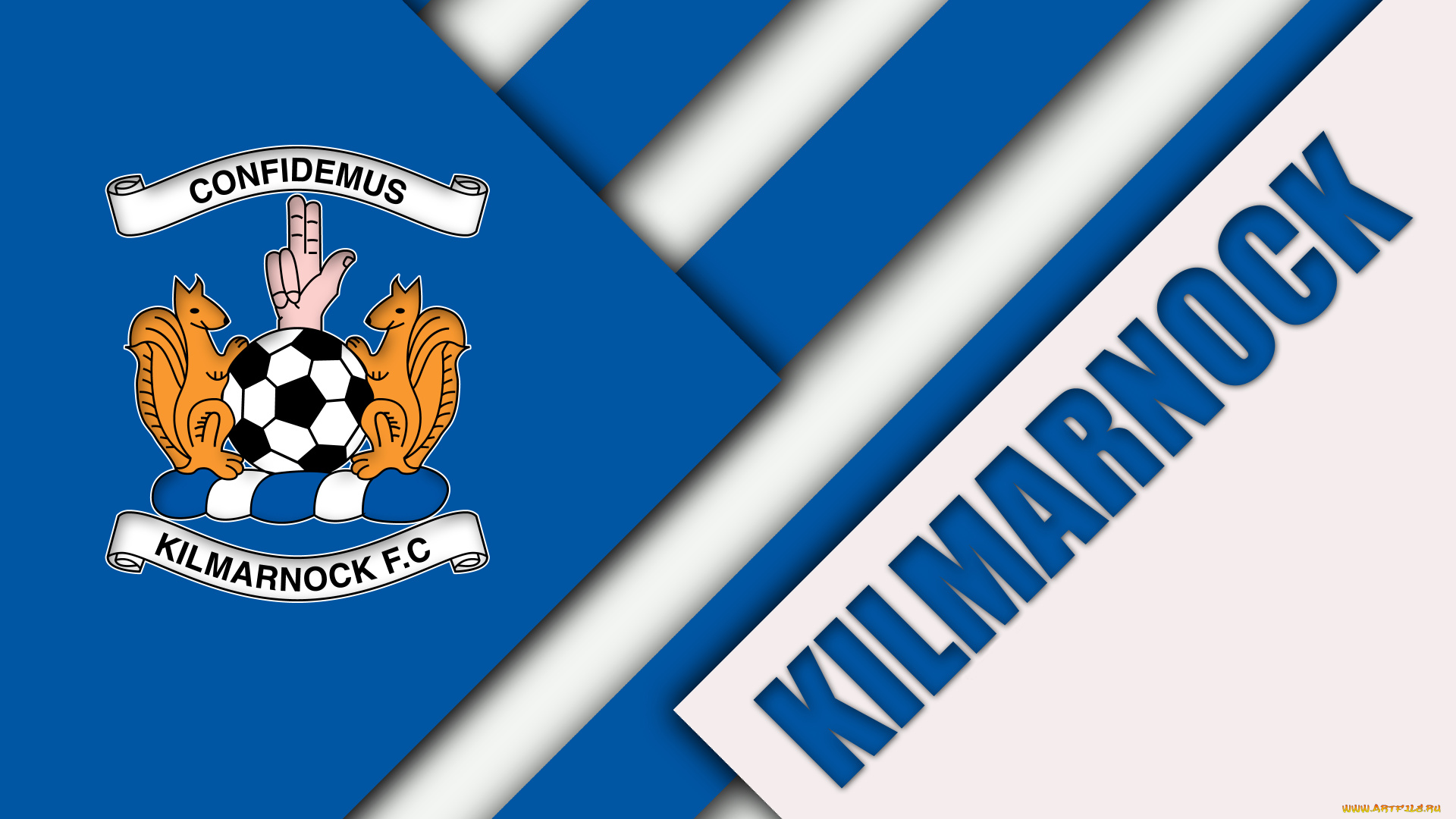 спорт, эмблемы, клубов, полосы, цвета, линии, фон, логотип