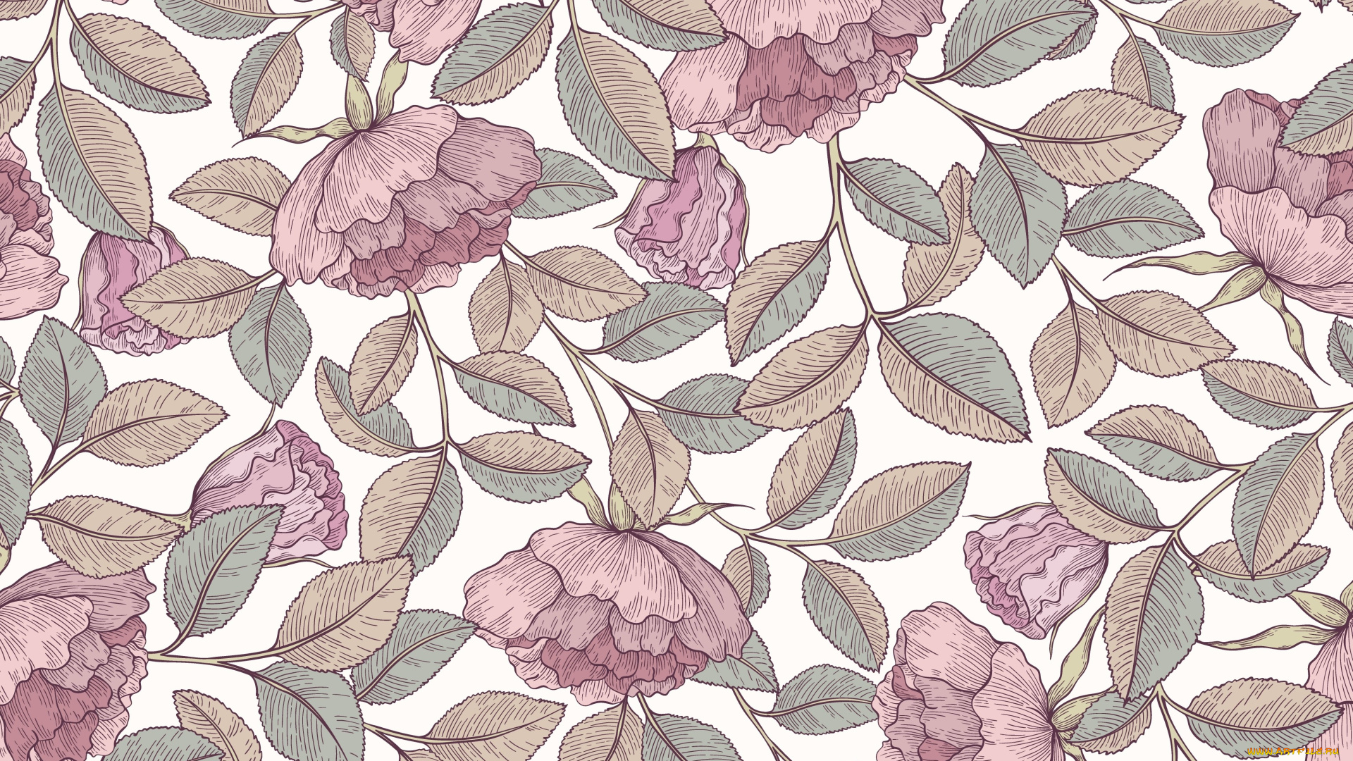 векторная, графика, цветы, , flowers, цветы, фон