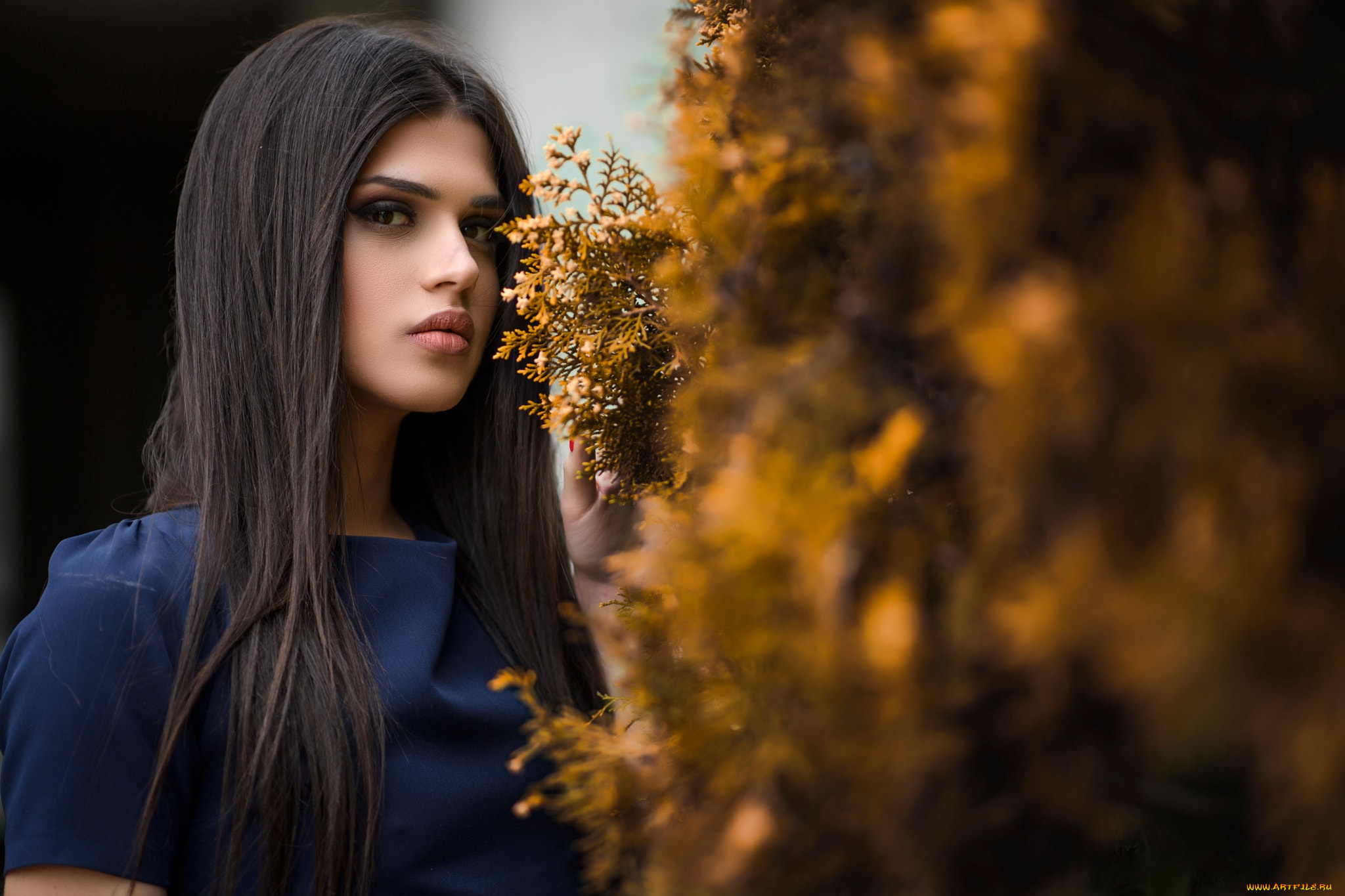 девушка, девушки, -unsort, , брюнетки, темноволосые, модель