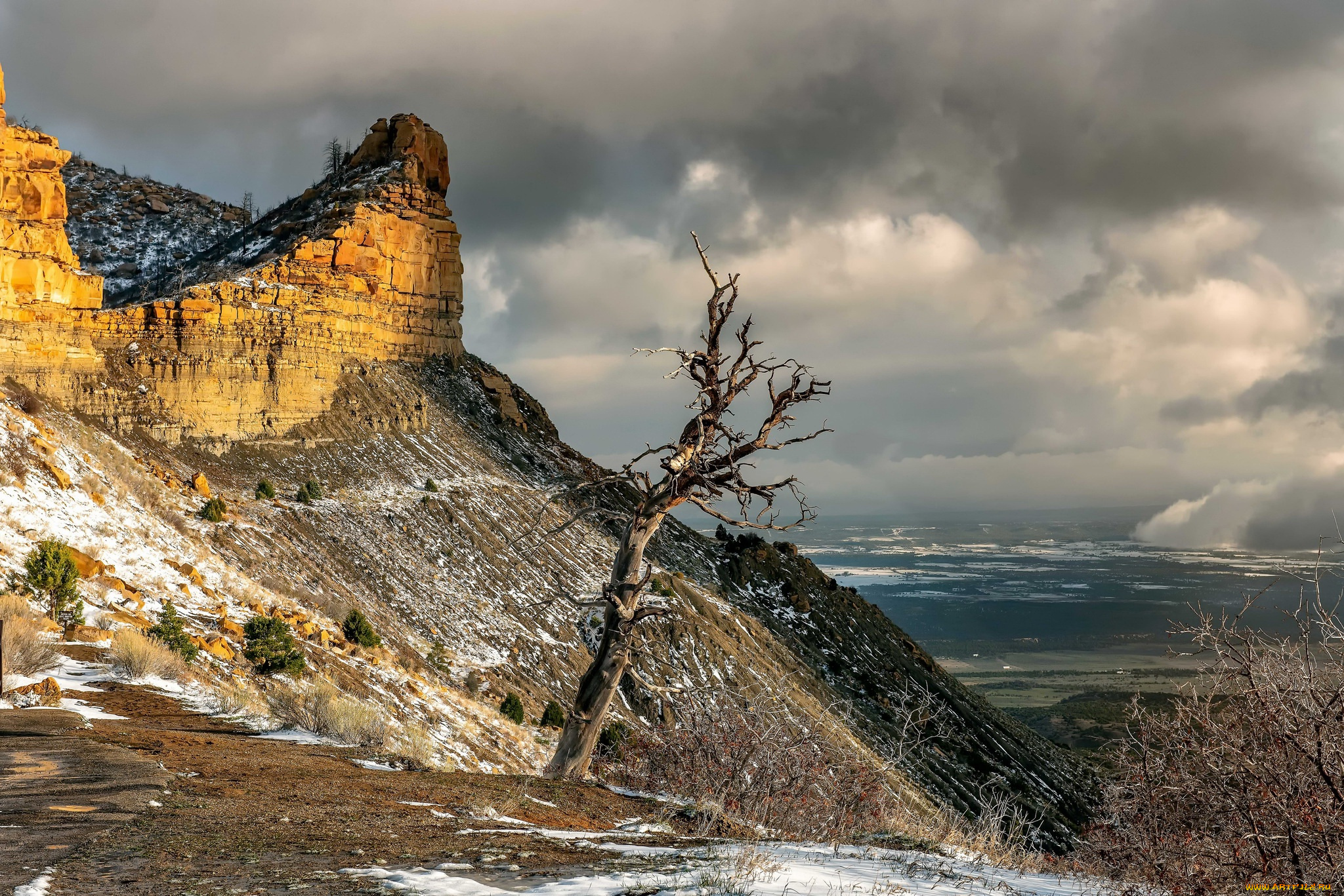 природа, горы, гора, дерево