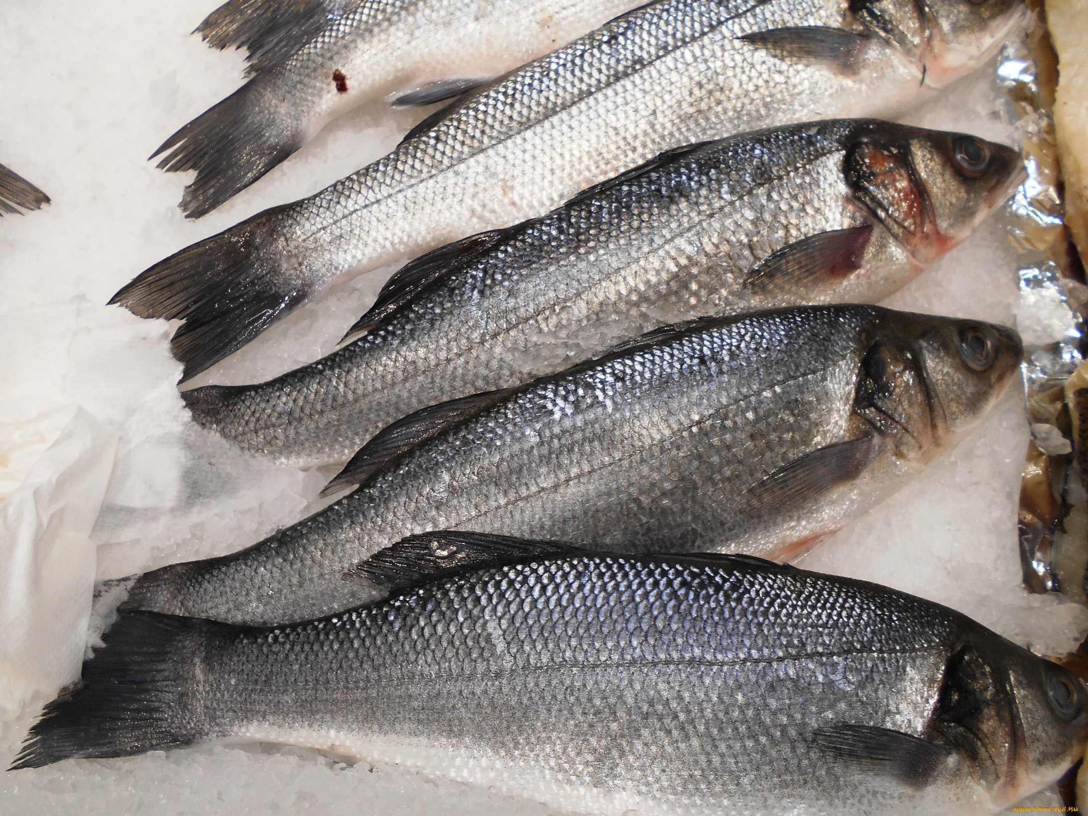 еда, рыба, , морепродукты, , суши, , роллы