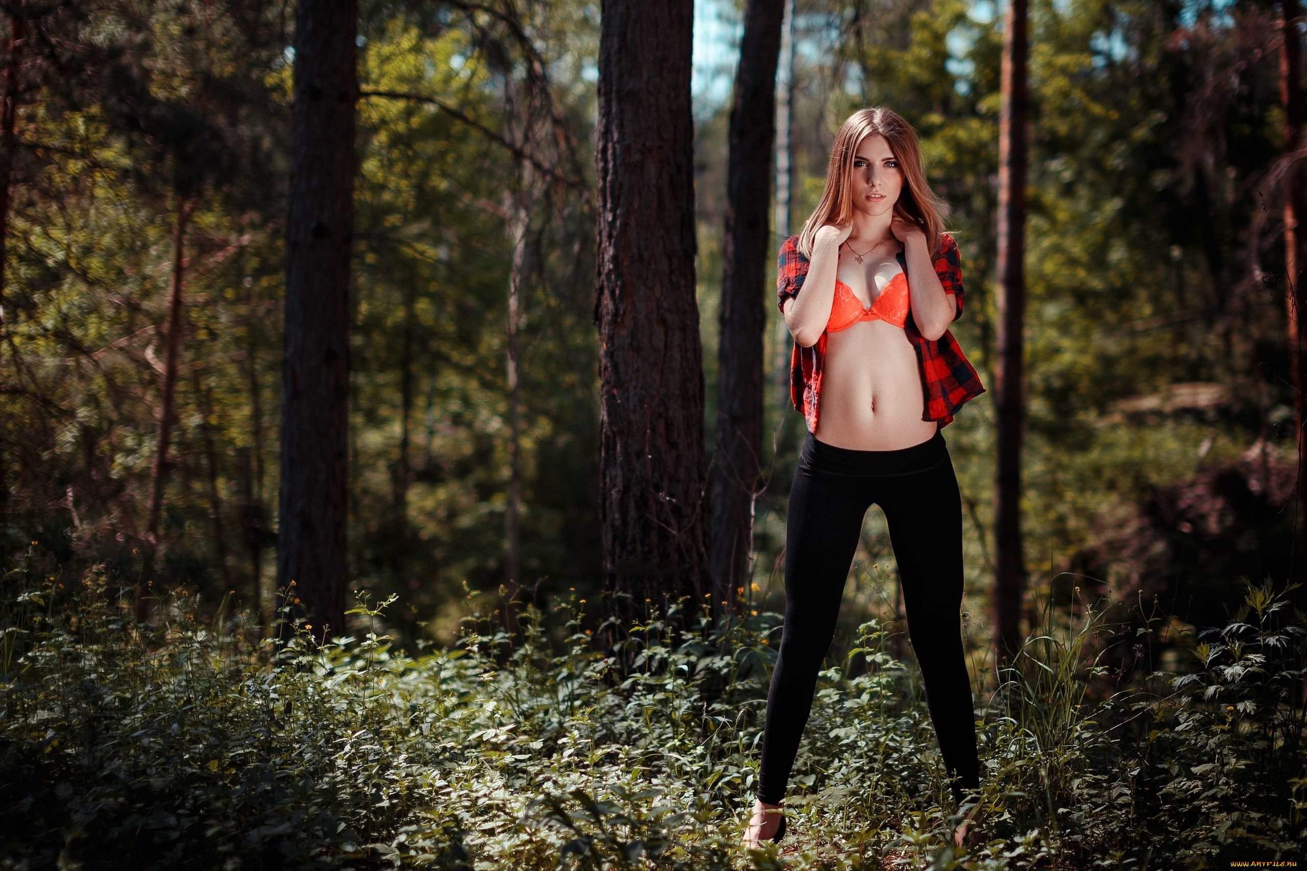 девушка, девушки, -unsort, , блондинки, , светловолосые, модель