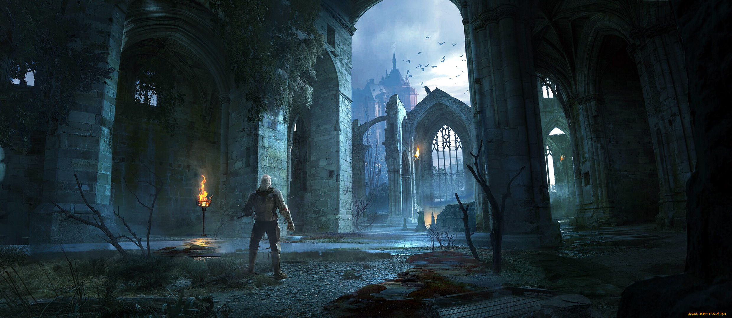 видео, игры, the, witcher, ведьмак, замок