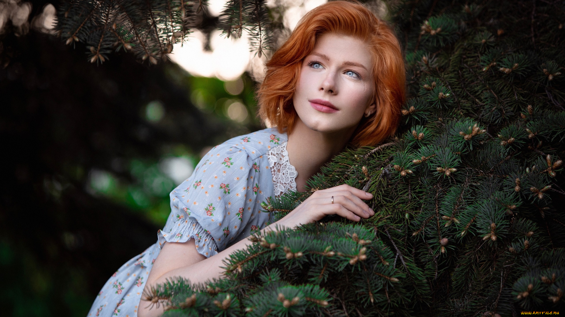 анастасия, жилина, девушки, анастасия, жилина, красотка, девушка, модель, рыжеволосая, поза, стройная, сексуальная, флирт