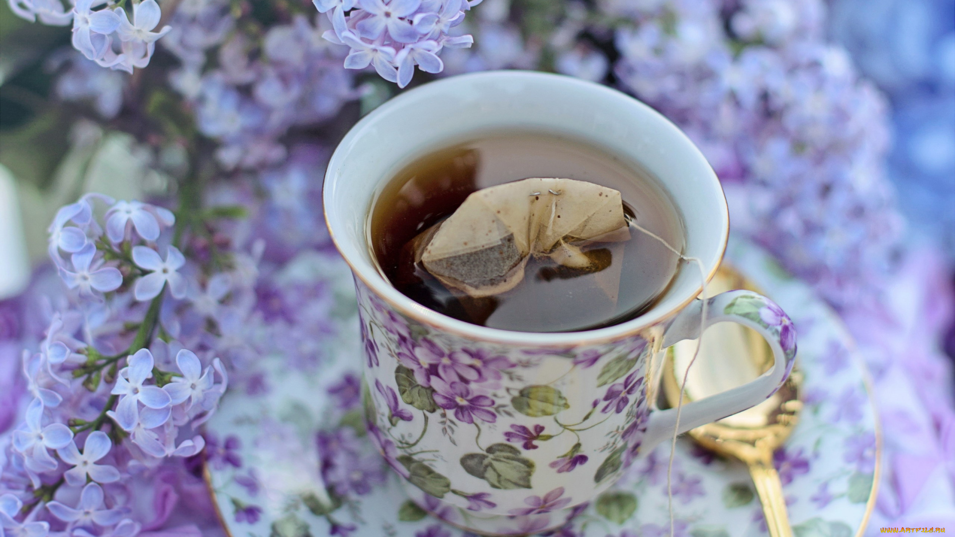 еда, напитки, , чай, сирень, чашка, блюдце, чай, пакетик