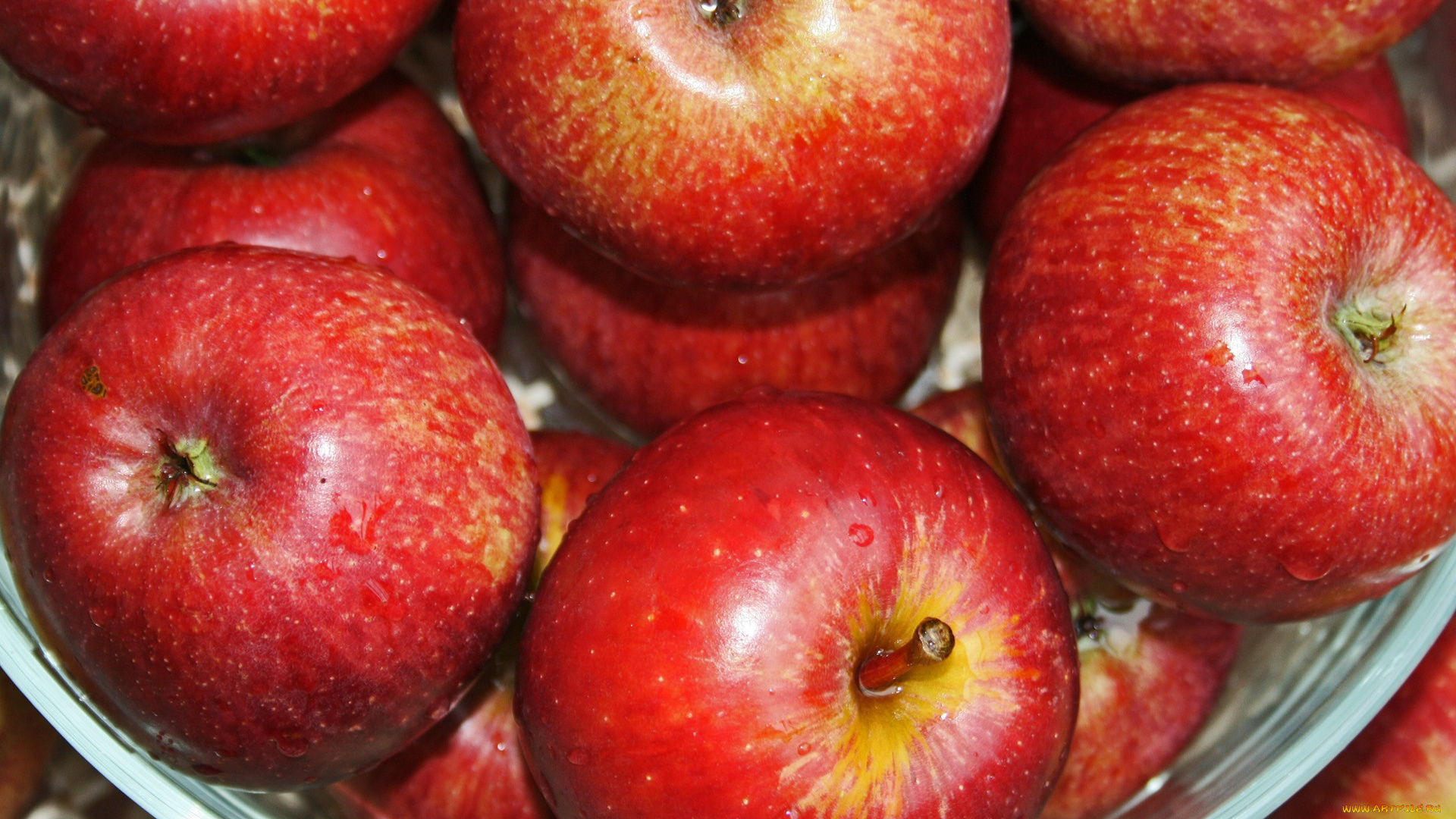 еда, яблоки, краснобокие, много, макро