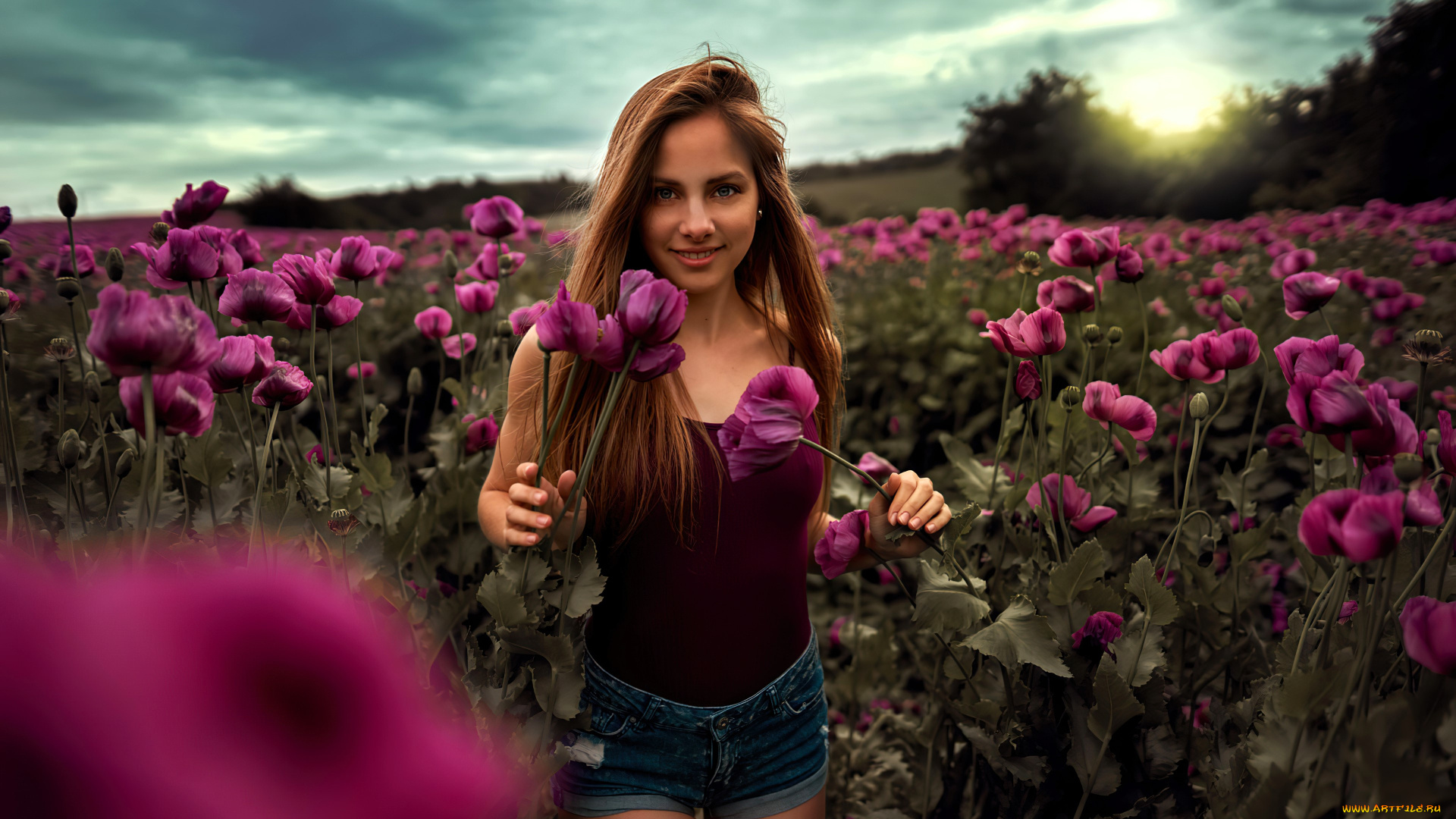 девушки, -, брюнетки, , шатенки, русая, топ, шорты, поле, маки, цветы