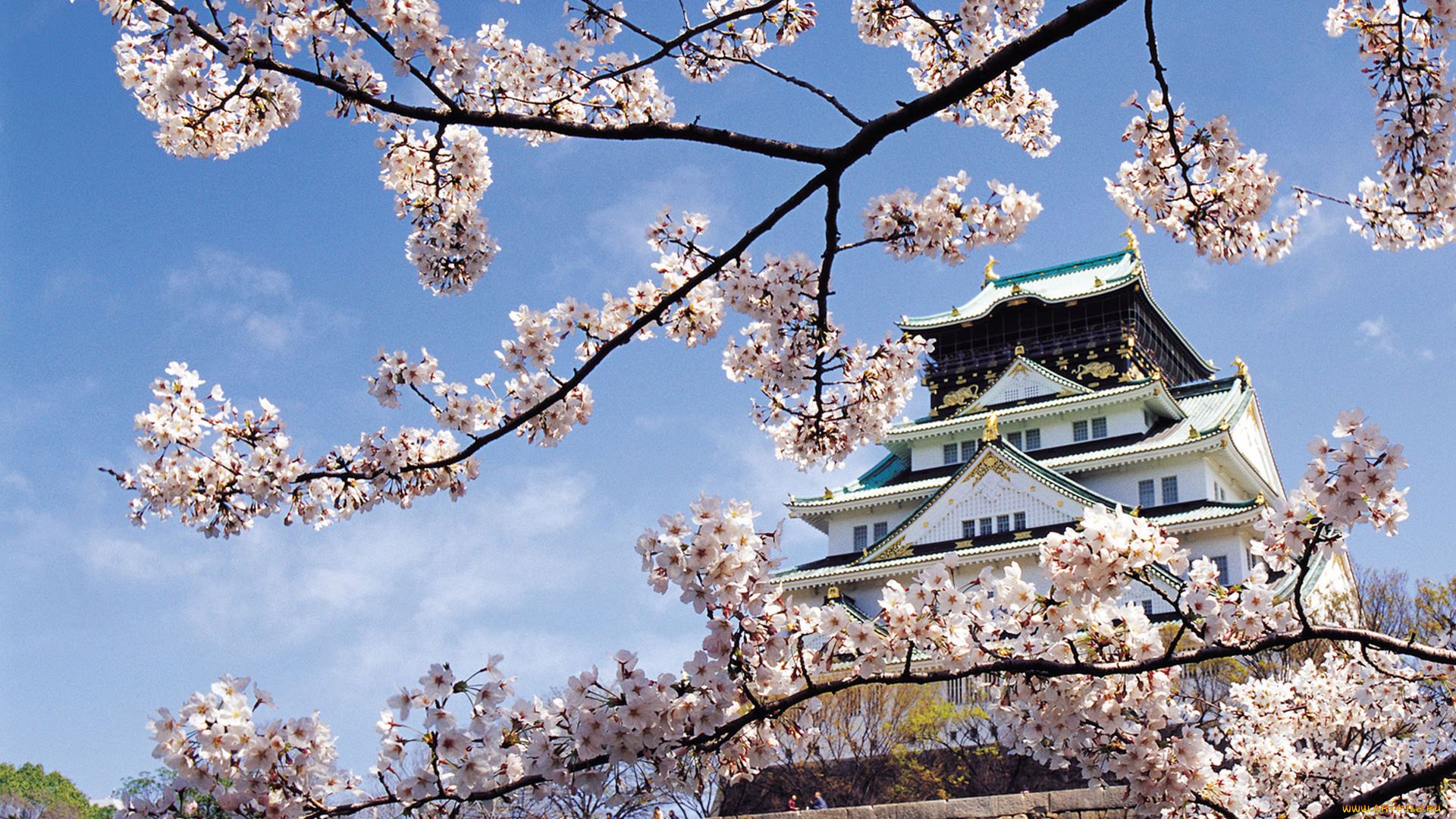 nagoya, castle, города, замки, японии, nagoya, castle