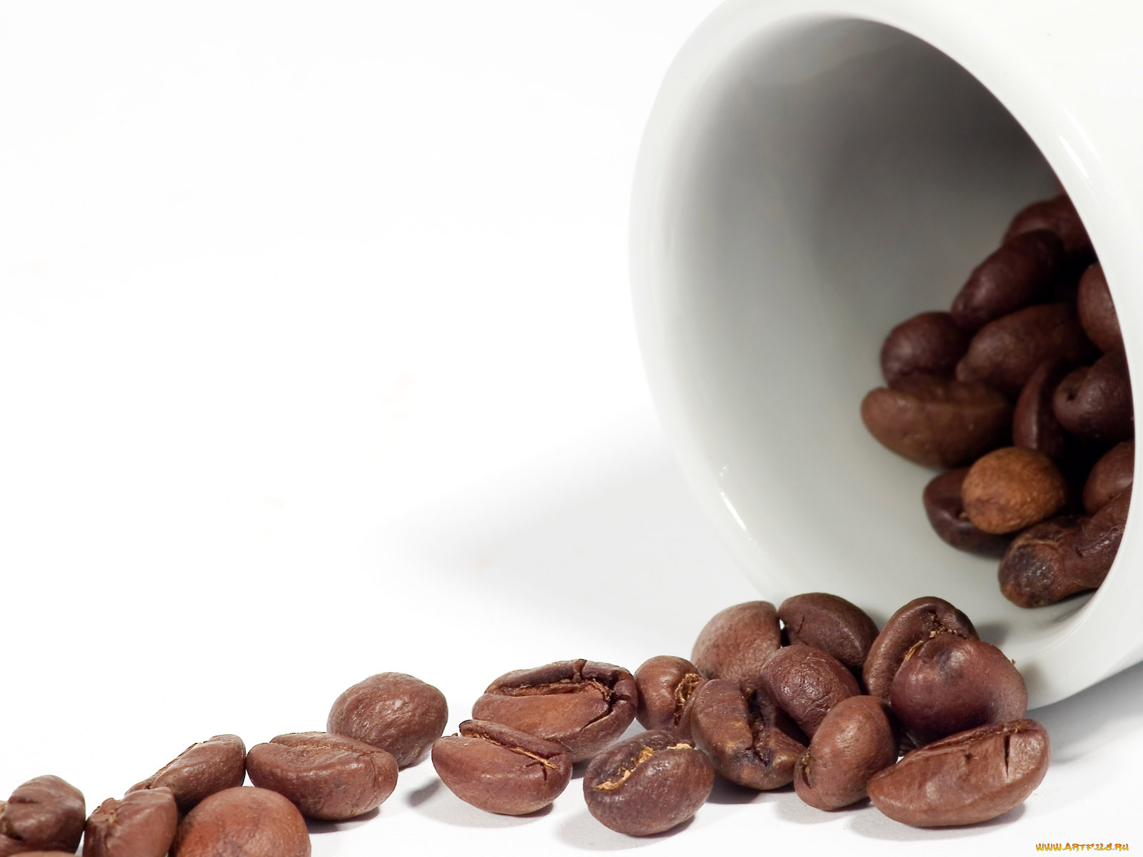 еда, кофе, кофейные, зёрна