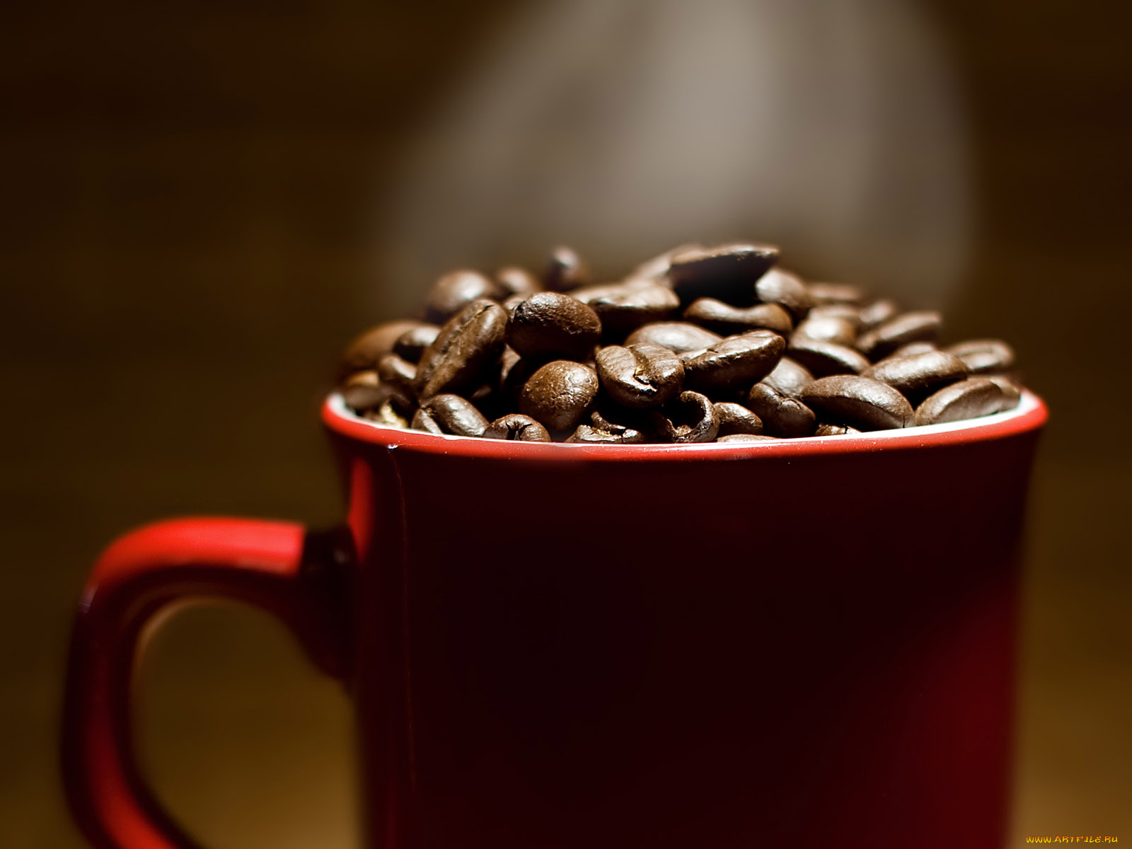 еда, кофе, кофейные, зёрна