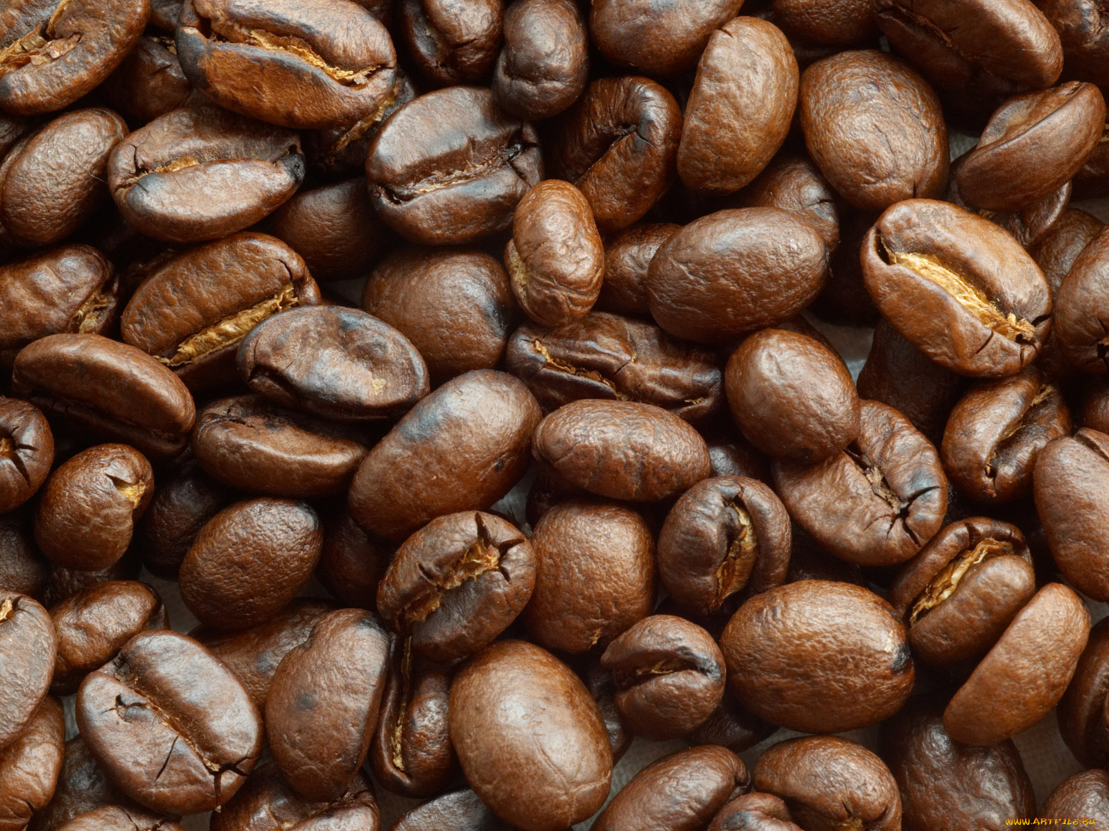 еда, кофе, кофейные, зёрна