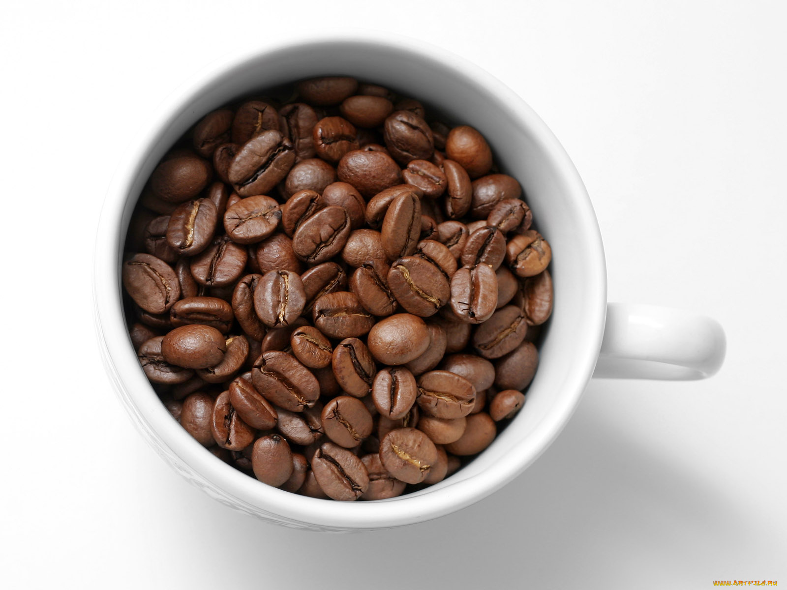 еда, кофе, кофейные, зёрна