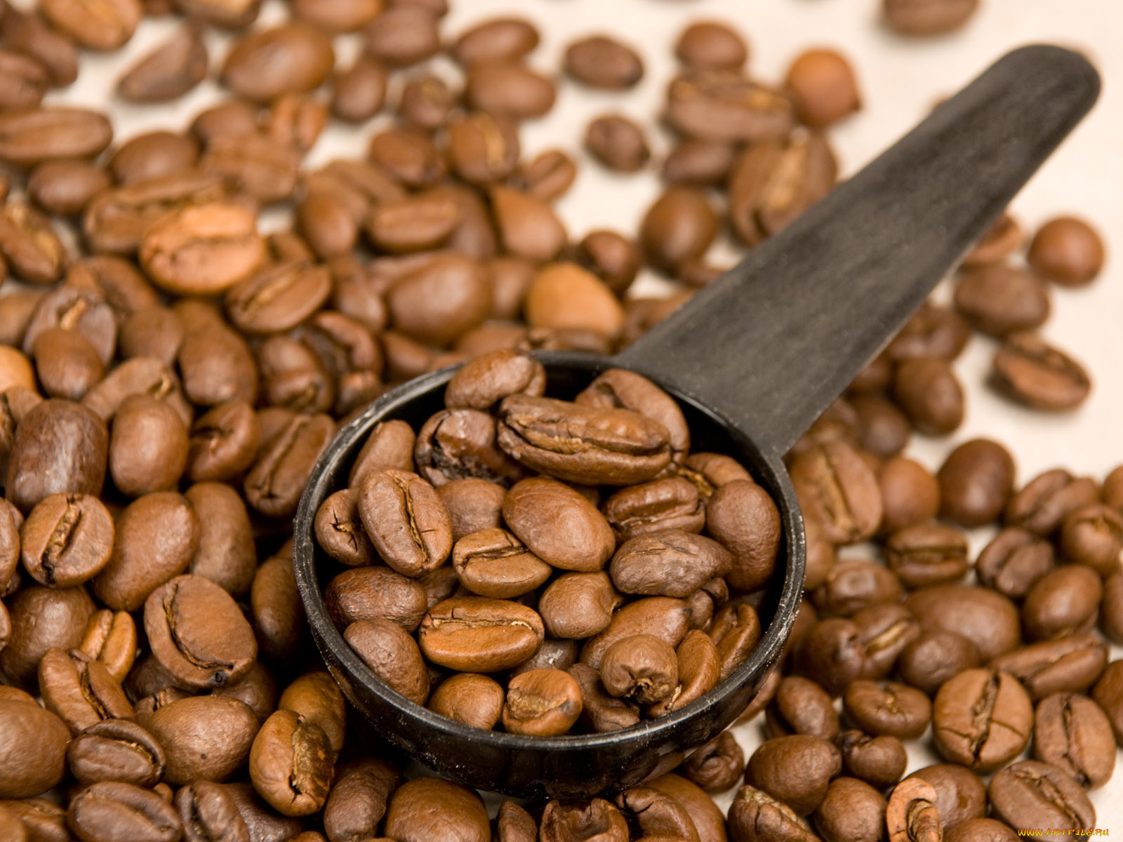 еда, кофе, кофейные, зёрна