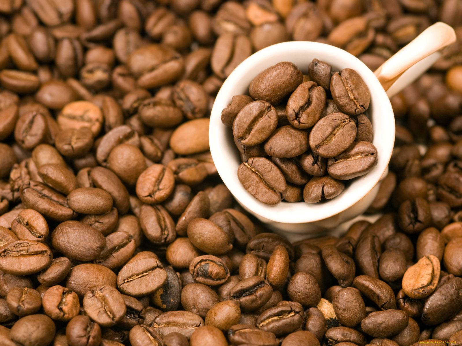 еда, кофе, кофейные, зёрна