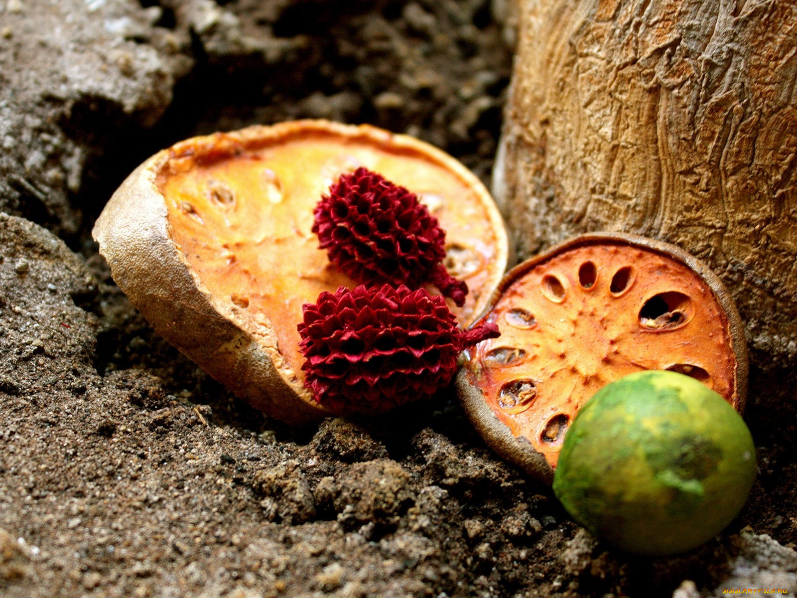 разное, другое