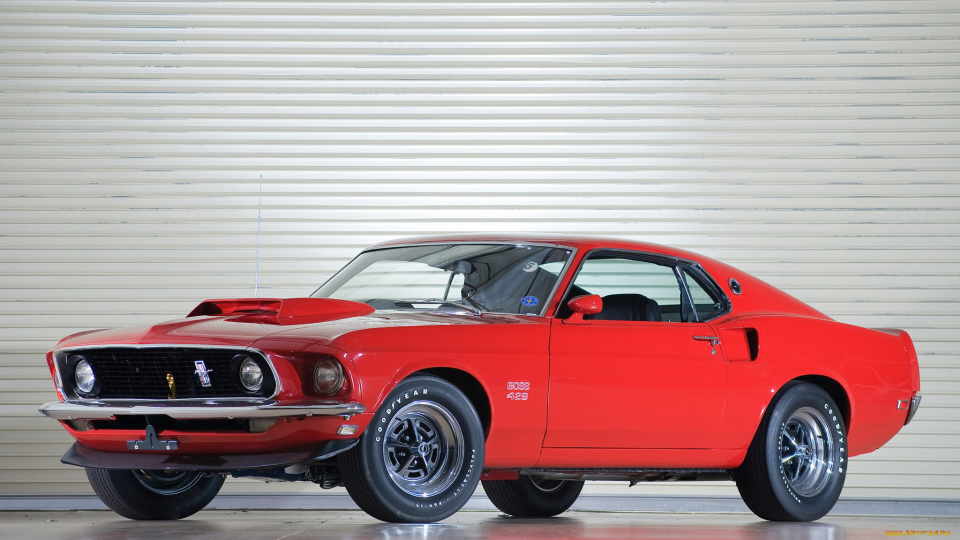 автомобили, mustang