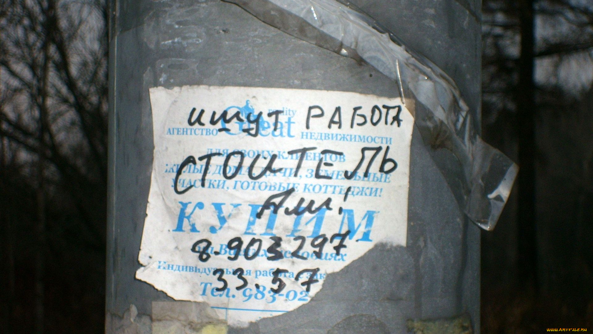 юмор, приколы